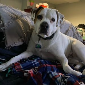 Meet your Posher, Edward c.